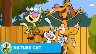 NATURE CAT | Run! Hide! Run! Hide! | PBS KIDS
