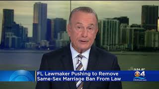 Lawmaker Pushing To Formally Remove Same-Sex Marriage Ban From Florida Law