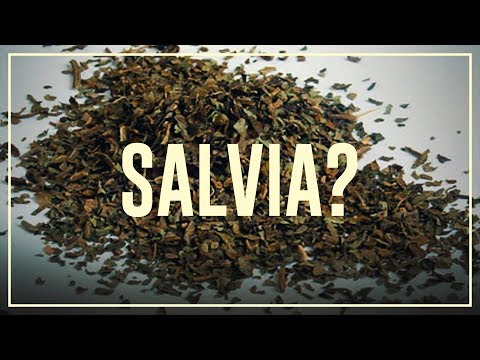 Video: Wat Is Salvia? Gebruik, Effecten, Risico's En Meer