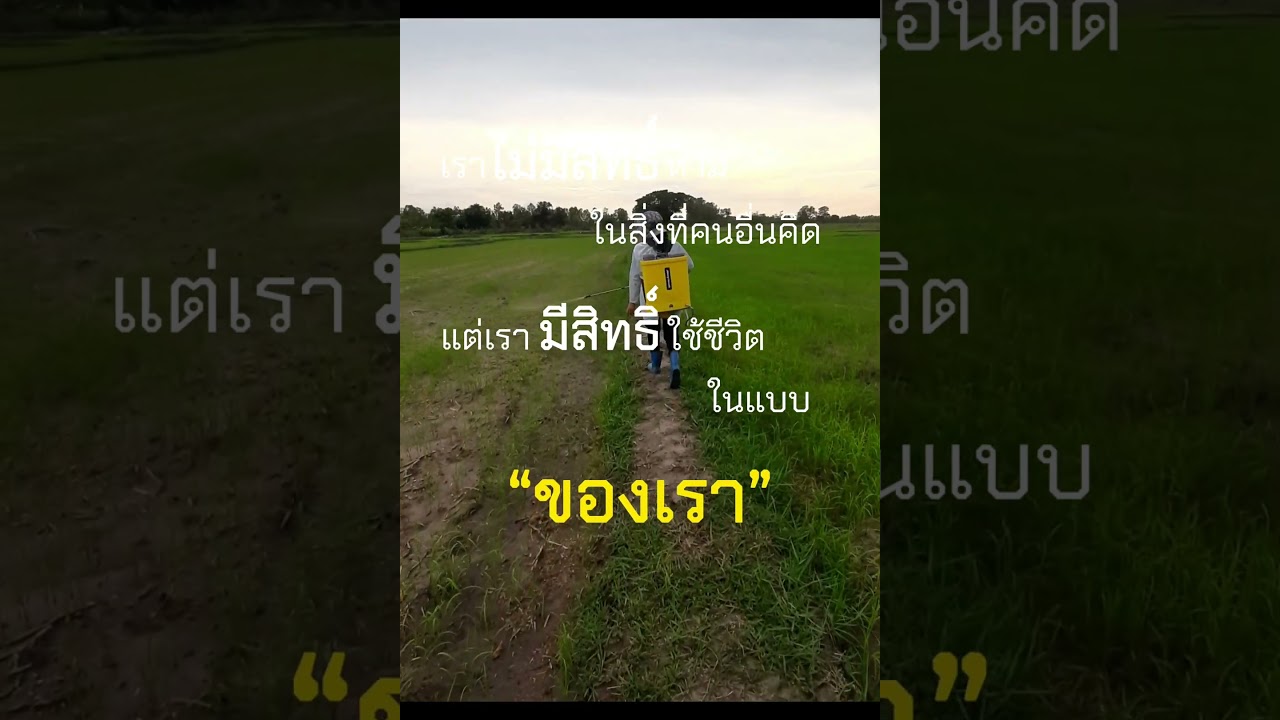 ทำในสิ่งที่อยากทำ ลุยๆ #นาโนแม็ก #นารวย #farming #ผักปลอดสาร