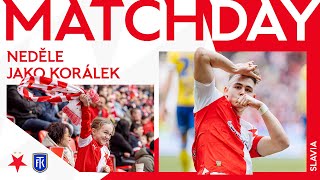 𝐌𝐀𝐓𝐂𝐇𝐃𝐀𝐘 | Slavia - Teplice 4:0 | Neděle jako korálek