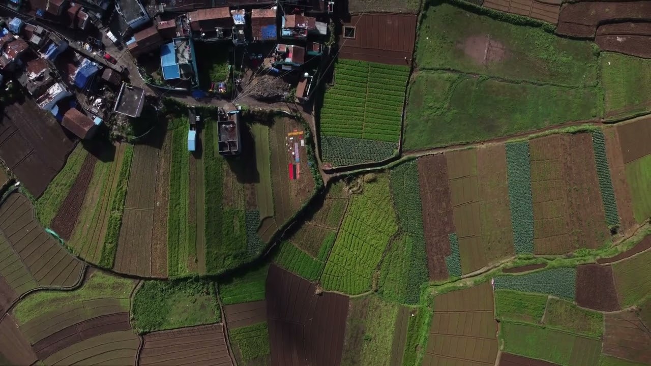 Pemandangan Alam Sawah Indonesia Pengambilan Melalui Drone (Bagian 1)
