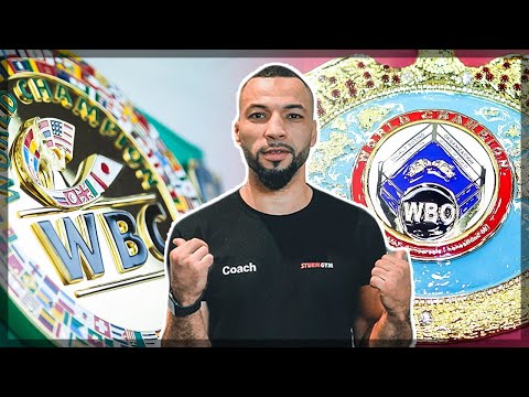 WIE werde ich ein erfolgreicher PROFI-BOXER? | Maurice Weber