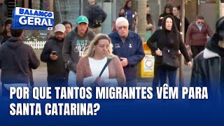 Santa Catarina Atrai Migrantes Em Busca De Um Novo Começo