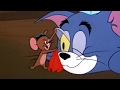 Tom the clown  the tom  jerry show  cartoon world