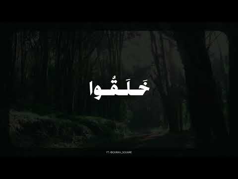 أم خلقوا من غير شيء أم هم الخالقون المنشاوي رواية خلف عن حمزة