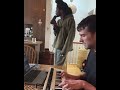 Fred again.. &amp; Obongjayar - adore u Rehearsals #fredagain #obongjayer #shorts
