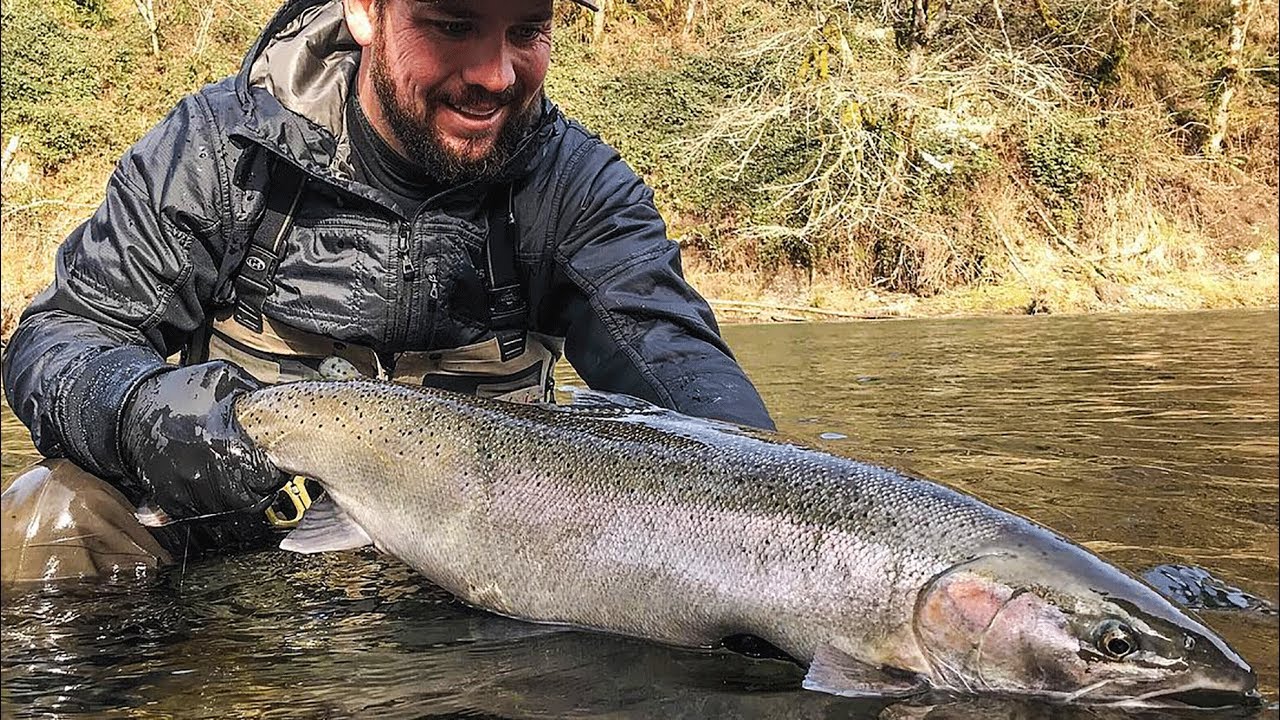 From a few years ago, my first Steelhead ever caught. Been addicted ever  since!! : r/Steelhead