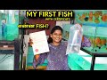 GOT My First Fish Certificate With Injected MICRO CHIP !! Exotic Fish Farm