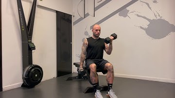 Double Dumbbell Seated Bicep Curls - Alternating