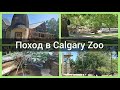 Поход в зоопарк. Calgary Zoo. Куда пойти отдохнуть в Канаде. Куда пойти в Калгари. Канада