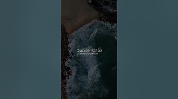 ياسر الدوسري #قرآن #تلاوة_خاشعة #الله #اللهم_صل_وسلم_على_نبينا_محمد #ناصر_القطامي #ياسر_الدوسري