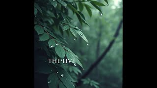 THE LIVE - RAIN | Relaxing Music &amp; Rain Sounds | LIVE LOUNGE BAND #thelive