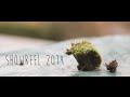 Vlr films  showreel 2014