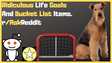 Ridiculous Life Goals And Bucket List Items  r/AskReddit