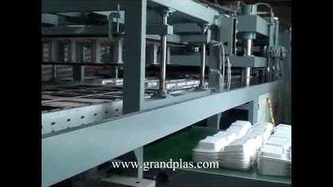 PS foam food container  forming and cutting machine/polystyrene foam lunch box machine