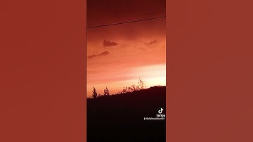 قران كريم بصوت جميل راحه نفسيه #المصحف #اكسبلور