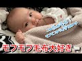 【生後122日目】毛布が大好き