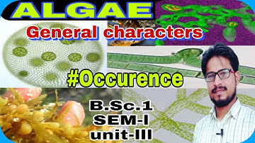#algae lec4| शैवाल| general Characters|occurence/types of algae on the basis of occurrence|#ashoksir