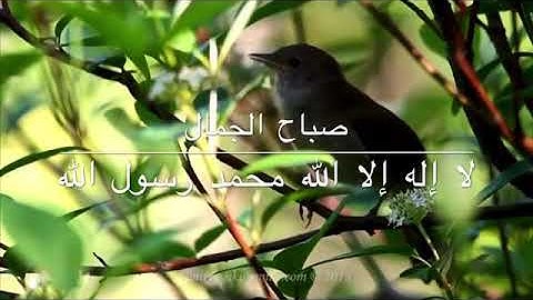 سورة الفرقان غسان الشوربجي🌹