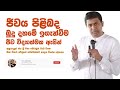 Tissa Jananayake - Special Episode | ජීවය පිලිබද බුදු දහමේ ඉගැන්වීම ජීව විද්‍යාත්මක ඇසින් | Full HD