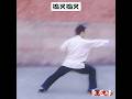 陳氏太极拳第三十二式 捣叉捣叉 陳氏太极拳第三十二式 捣叉捣叉