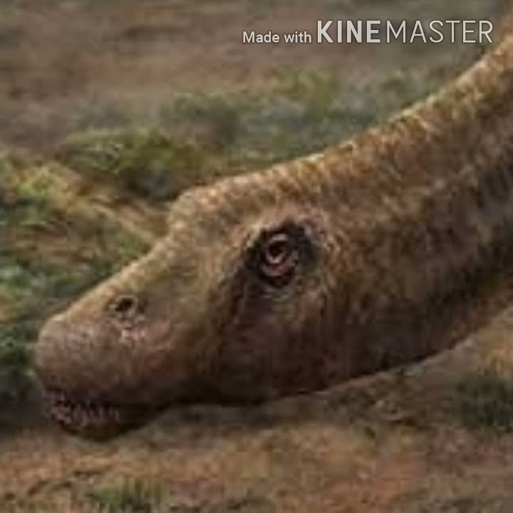 Apatosaurus Roar 🦕 🔊