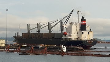 Serene Ocean, Bulk Carrier, coming into port to pick up another load of logs for export.