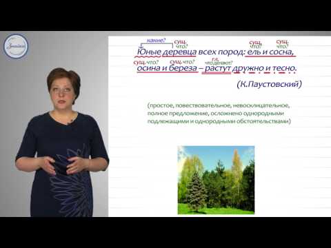 Русский язык 8 класс. Синтаксический и пунктуационный разбор простых предложений