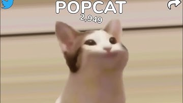 Speed run pop cat