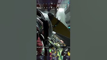 Mirages Decoys - Don