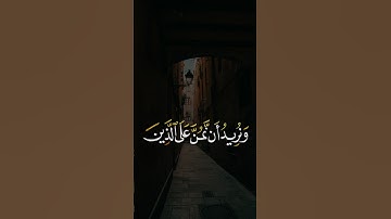 ونريد أَن نمن على الذين استضعفوا في الأرض | سورة القصص | محمد صديق المنشاوي