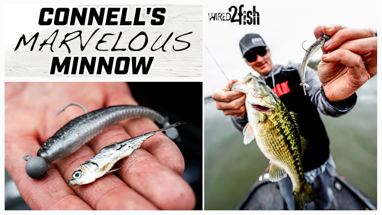 Dustin Connell’s Prespawn Spotted Bass Game Plan