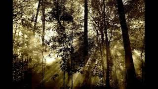 10 Menit Tertidur Dengan Alunan Sape Dayak Yang Merdu Sekali