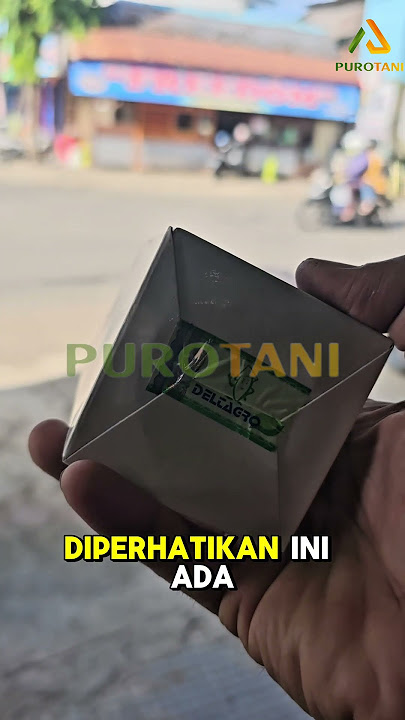 Pupuk Golstar Booster Segala Macam Buah #golstar#pupukbuah #boosteerbuah#perangsangbuah