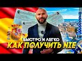 Как получить NIE в Испании?