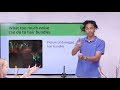 Hair Cell Classroom Demonstration: Loud Sounds Can Damage Hair Cells Aud. Tewfiq Siliman Herini 009647504485973 Erbil Kurdistan tewfiqsiliman@yahoo.com
