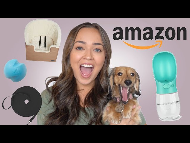 AMAZON DOG PRODUCTS: Must Haves & Favourites — Holly Obee (video thumbnail)