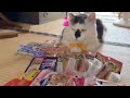 かごしまんけいきちの今朝も雑談中。2026.7.18