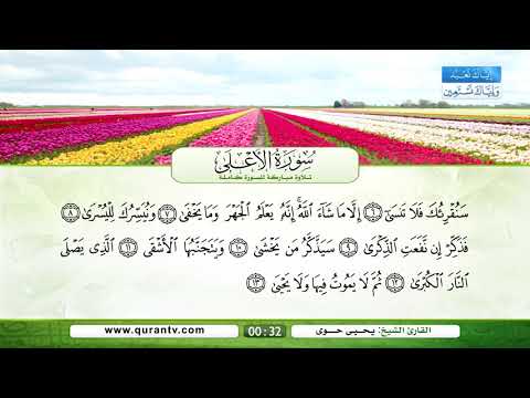 سورة الأعلى بصوت القارئ الشيخ يحي حوى