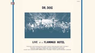 Watch Dr Dog Heavy Light video