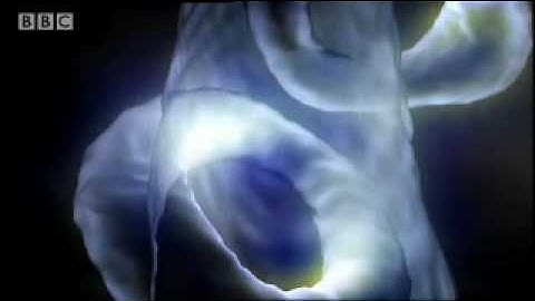 Who lives in the eleventh dimension? - Parallel Universes - BBC science