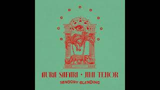 Aura Safari &amp; Jimi Tenor - Your Magic Touch