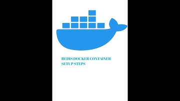 Redis Docker Container Setup Setps