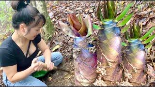 Harvesting bamboo shoots and agricultural products to sell, raising chickens, gardening, and cooking