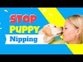 Stop Puppy Nipping