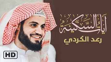 آيات السكينة لدفع القلق والهموم - القارئ رعد الكردي _ Ayat Al-Sakina - Holy Quran - - Raad Al-Kurdi