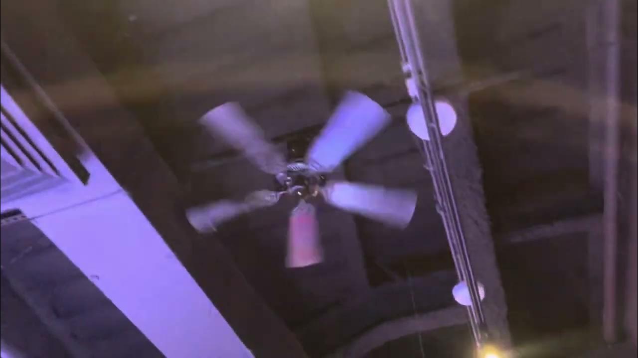 42” Casablanca Four Seasons III Ceiling Fans In The Arcade Of The