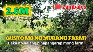 Goods Na Goods na Farm Lot Hindi Masasayang Perang Pinagpaguran Mo | San Narciso, Zambales