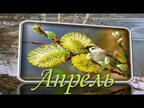 Тихонько, невзначай вздохнул апрель